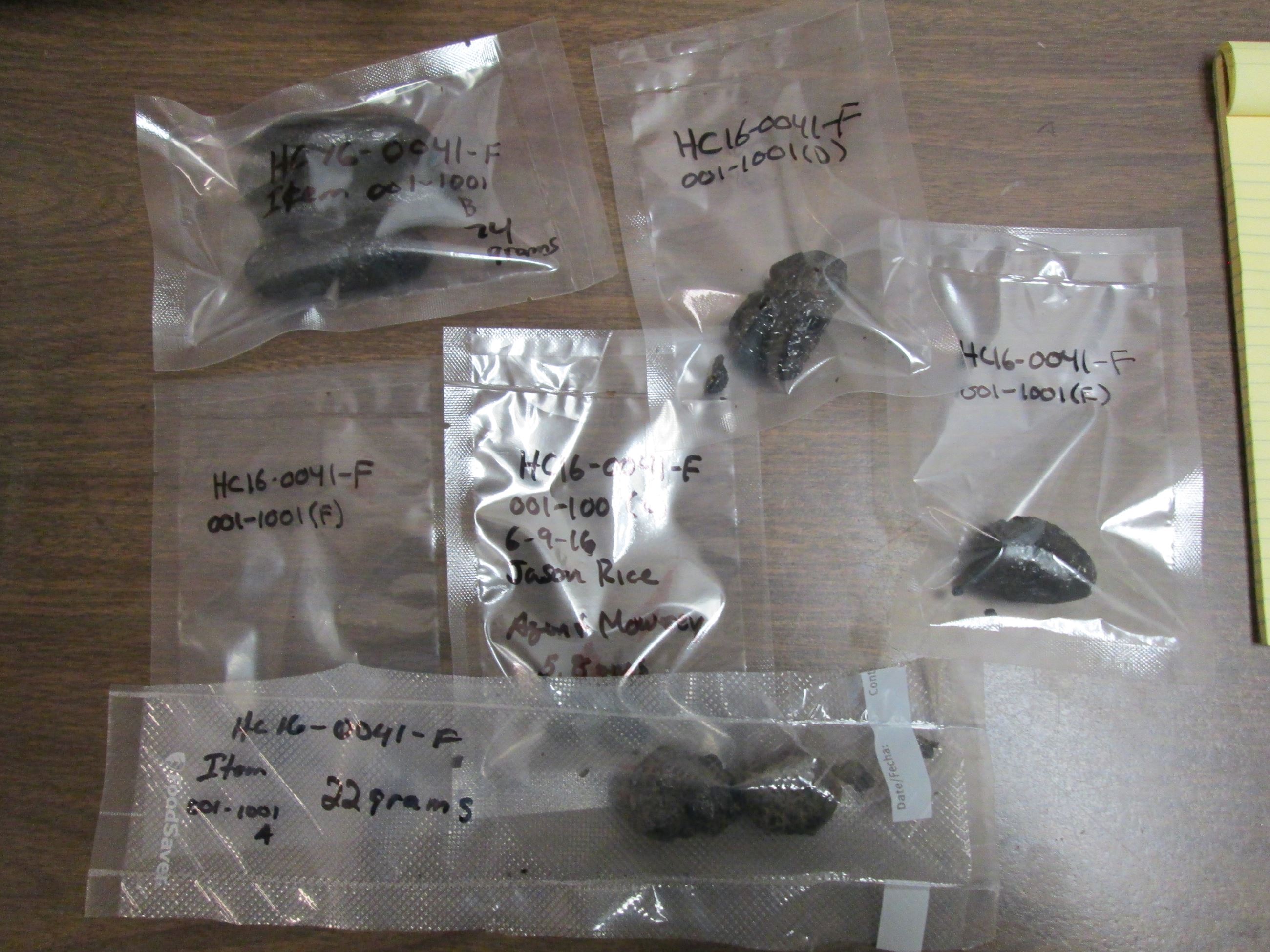 Drug Task Force Case 16-041